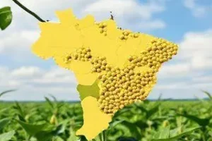 soja do Brasil