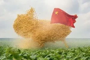 excesso de soja na china