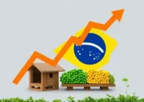 desabastecimento de combustíveis