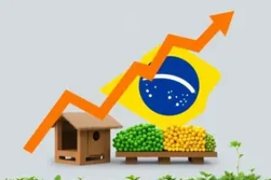 desabastecimento de combustíveis