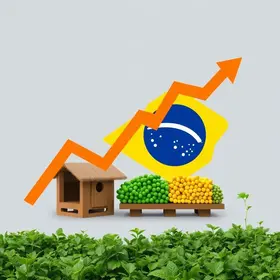 desabastecimento de combustíveis