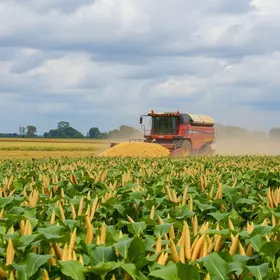 colheita de soja do Brasil
