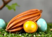 cotação do cacau e açúcar