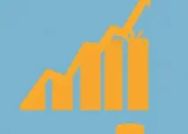 Movida lucro crescimento juros