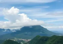 importação de Mounjaro