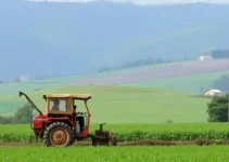 subvenção ao diesel