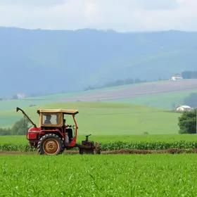 subvenção ao diesel